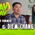 Hay Day