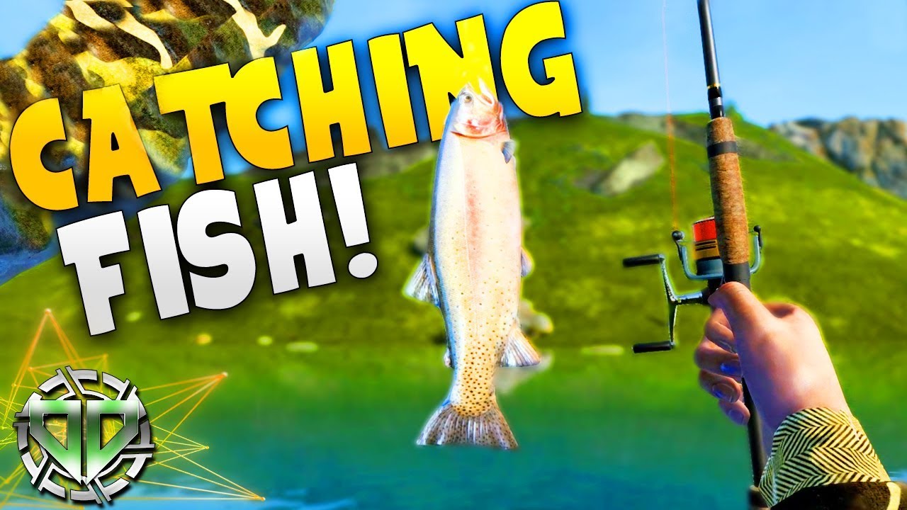 From Small Fry to Trophy Fish: Your Path to Mastery